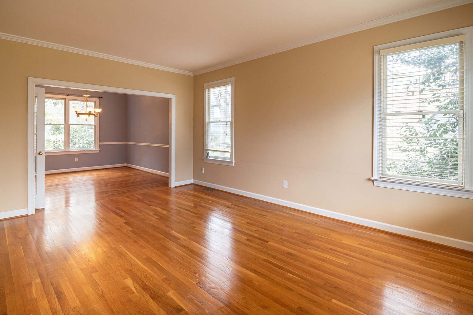 flooring (12)